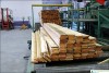 Житковичский цех по переработке древесины